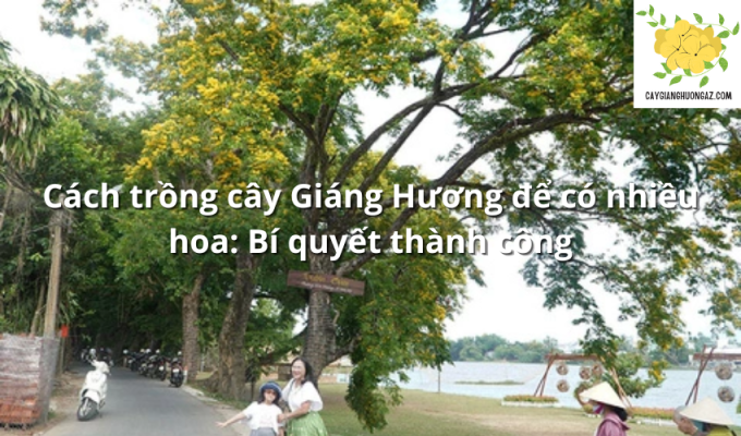 Cách trồng cây Giáng Hương để có nhiều hoa: Bí quyết thành công