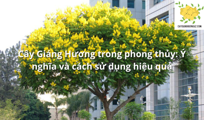 Cây Giáng Hương trong phong thủy: Ý nghĩa và cách sử dụng hiệu quả