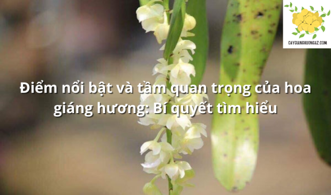 Điểm nổi bật và tầm quan trọng của hoa giáng hương: Bí quyết tìm hiểu