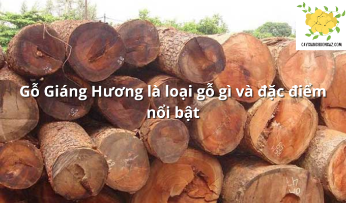 Gỗ Giáng Hương là loại gỗ gì và đặc điểm nổi bật