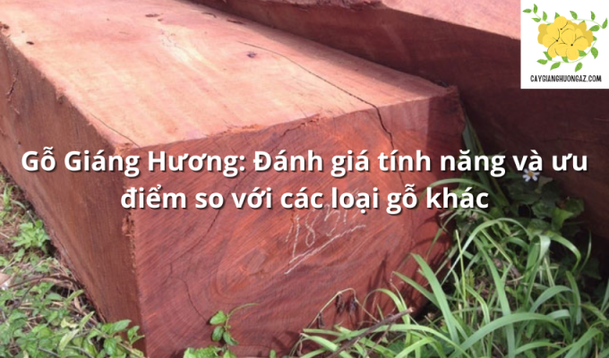 Gỗ Giáng Hương: Đánh giá tính năng và ưu điểm so với các loại gỗ khác