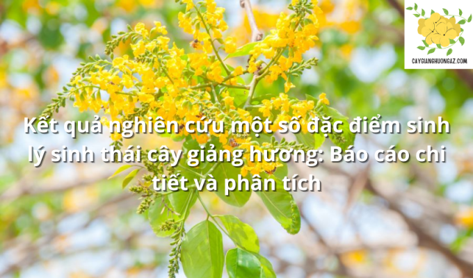 Kết quả nghiên cứu một số đặc điểm sinh lý sinh thái cây giảng hương: Báo cáo chi tiết và phân tích